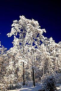 冬资料,探寻冬季旅游的别样风情