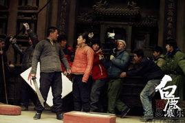 白鹿原花絮张丰毅,幕后故事与情感纠葛