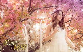 美丽的秘密图片,探寻图片中的自然魅力与生活智慧