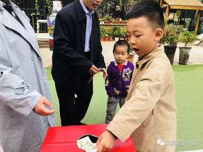 关于能量的传递花絮,揭秘自然界的能量流转之谜