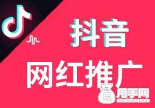 网红收费视频,内容价值与粉丝经济的双赢之道