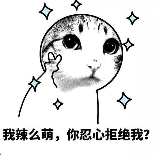 疯子表情包,疯子表情包大揭秘